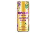 ABSOLUT PASSION FRUIT MARTINI 5% 0.25 L
